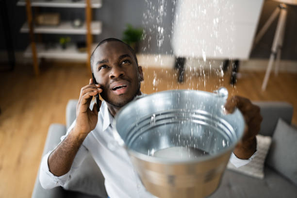 Best Basement water damage restoration  in Windsor, VA
