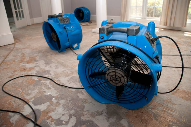 Best 24/7 water damage repair  in Windsor, VA